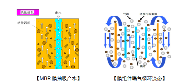 搜狗截图20年10月19日1101_2.png