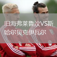 旧海弗莱鲁汶VS斯哈尔贝克伊瓦尔
