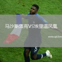 马沙斯洛克VS埃里温凤凰