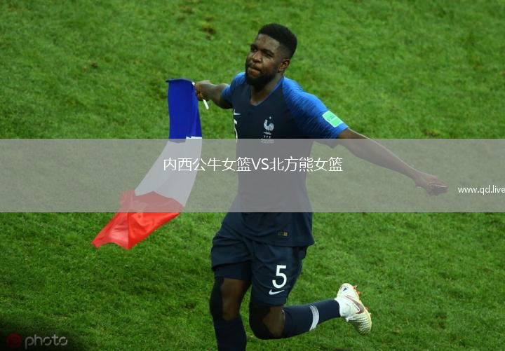 内西公牛女篮VS北方熊女篮