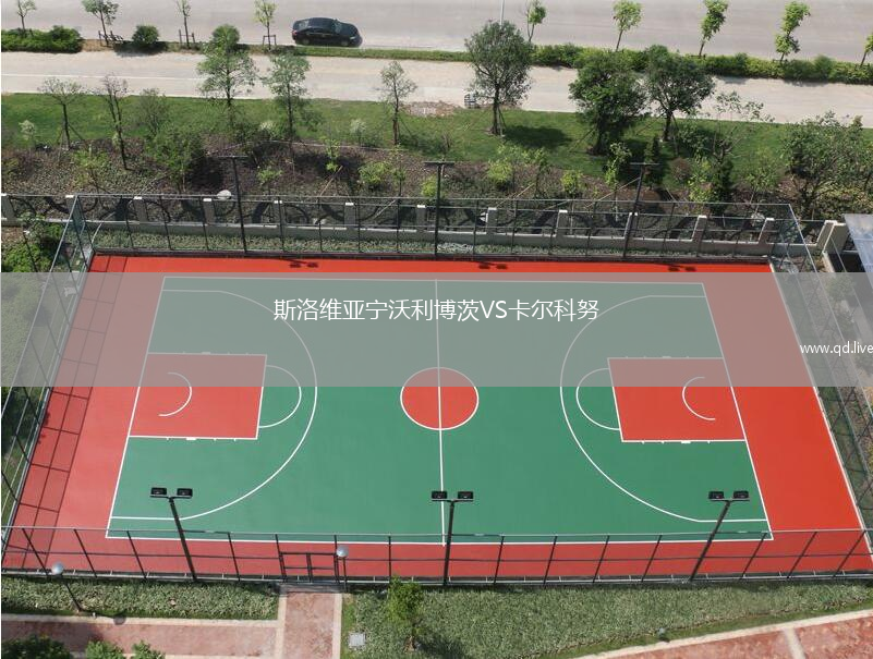 斯洛维亚宁沃利博茨VS卡尔科努