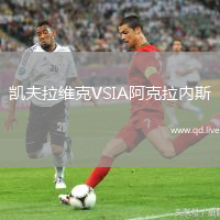 凯夫拉维克VSIA阿克拉内斯